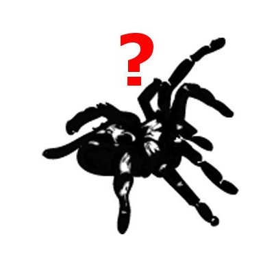 Mystery box (25€, 50€, 100€)